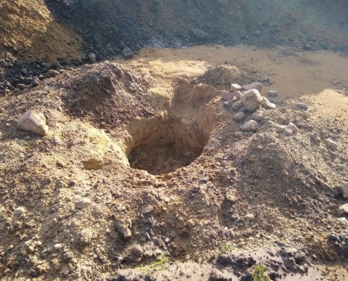 IMG_20251030_135340263