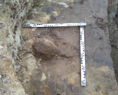 IMG_20251030_140245655